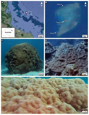 Correction Factors for δ18O-Derived Global Sea Surface Temperature Reconstructions From Diagenetically Altered Intervals of Coral Skeletal Density Banding